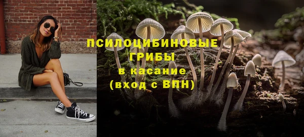 индика Алзамай