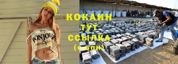 индика Алзамай
