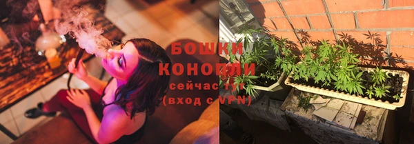 спайс Баксан
